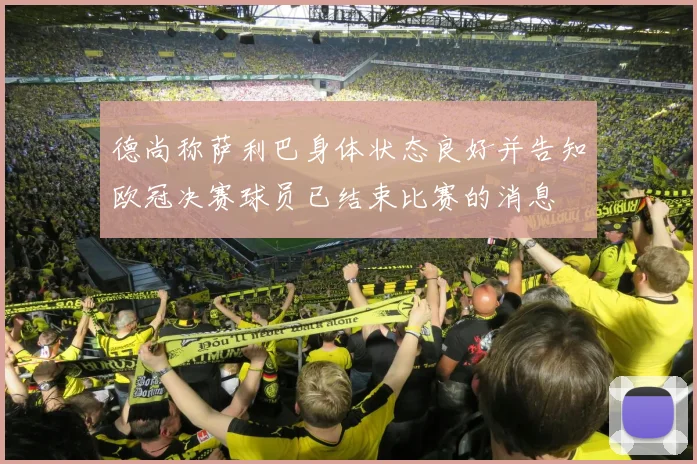 德尚称萨利巴身体状态良好并告知欧冠决赛球员已结束比赛的消息