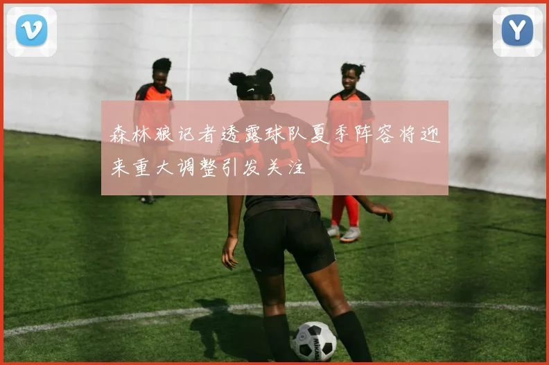 森林狼记者透露球队夏季阵容将迎来重大调整引发关注